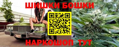 индика Гусь-Хрустальный