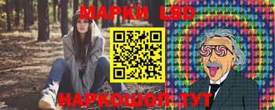 индика Гусь-Хрустальный