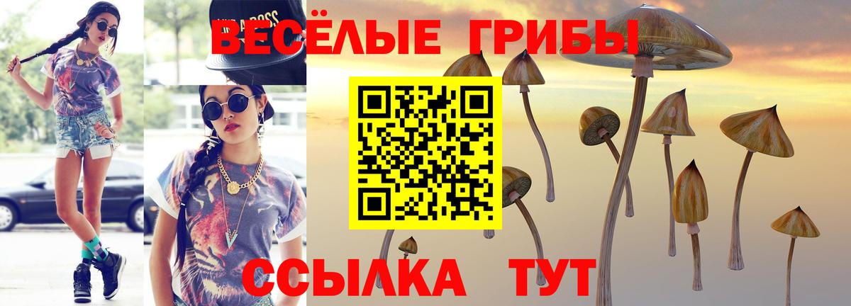 Галлюциногенные грибы GOLDEN TEACHER  Вход с VPN  Галлюциногенные грибы MAGIC MUSHROOMS  Кострома 
