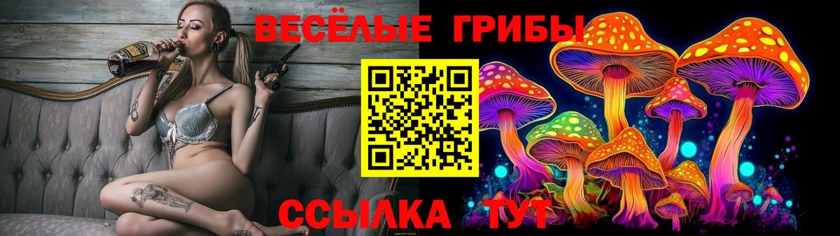 Псилоцибиновые грибы Psilocybe Кострома